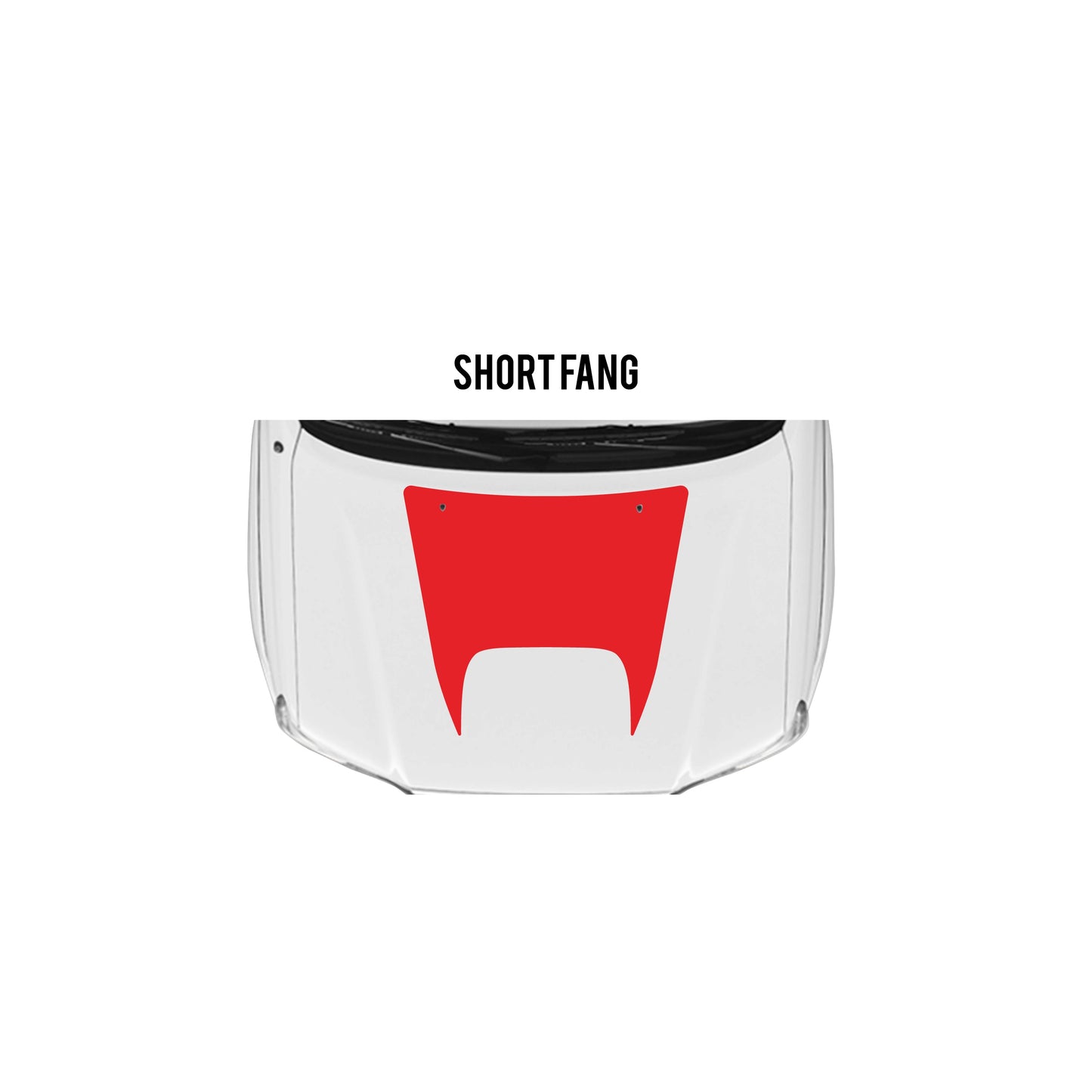 2005-15 Tacoma Checkered Stripe Kit