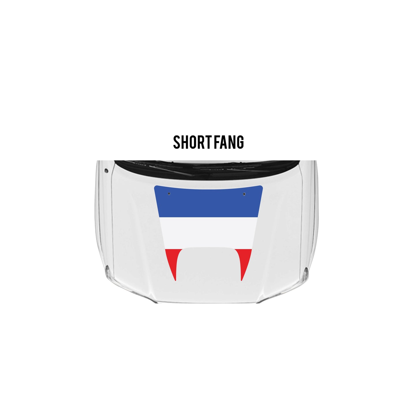 2005-15 Tacoma Checkered Stripe Kit