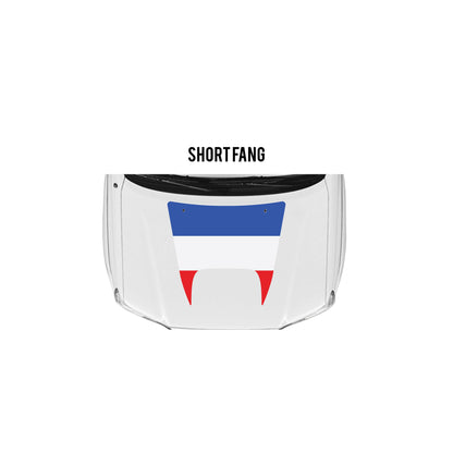 2005-15 Tacoma Checkered Stripe Kit