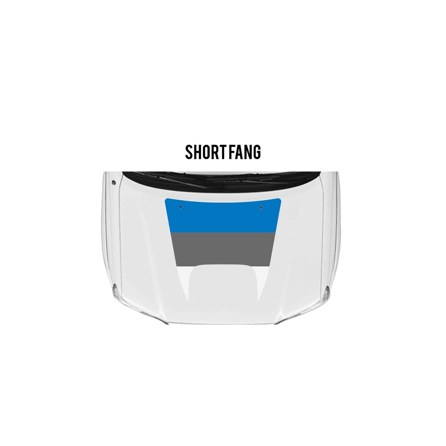 2005-15 Tacoma Checkered Stripe Kit