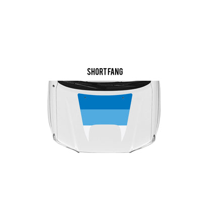 2005-15 Tacoma Checkered Stripe Kit