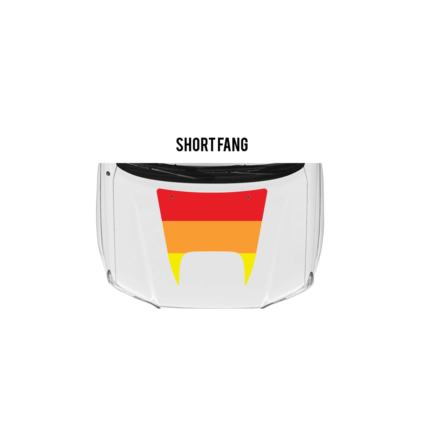 2005-15 Tacoma Checkered Stripe Kit