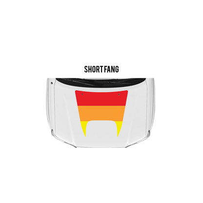 2005-15 Tacoma Checkered Stripe Kit