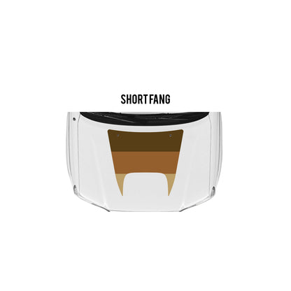 2005-15 Tacoma Checkered Stripe Kit