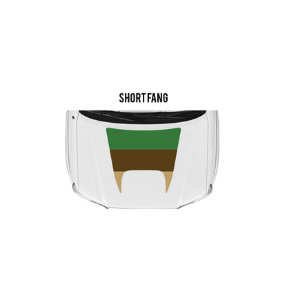 2005-15 Tacoma Checkered Stripe Kit