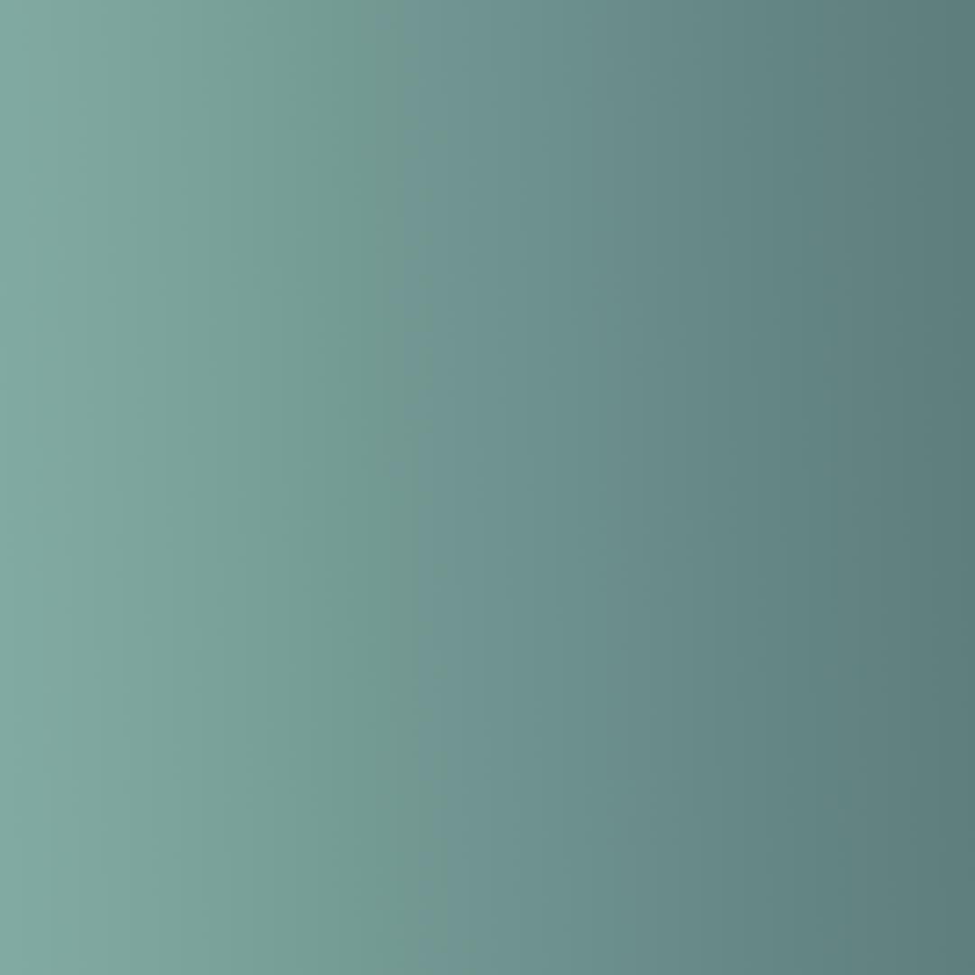 Steering Wheel Overlay (2024+ Tacoma/2025+ 4Runner)