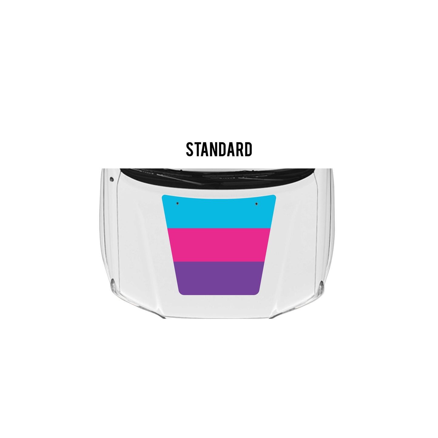 2005-15 Tacoma Checkered Stripe Kit