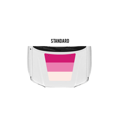 2005-15 Tacoma Checkered Stripe Kit