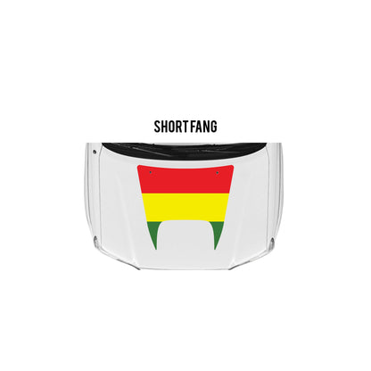 2005-15 Tacoma Checkered Stripe Kit