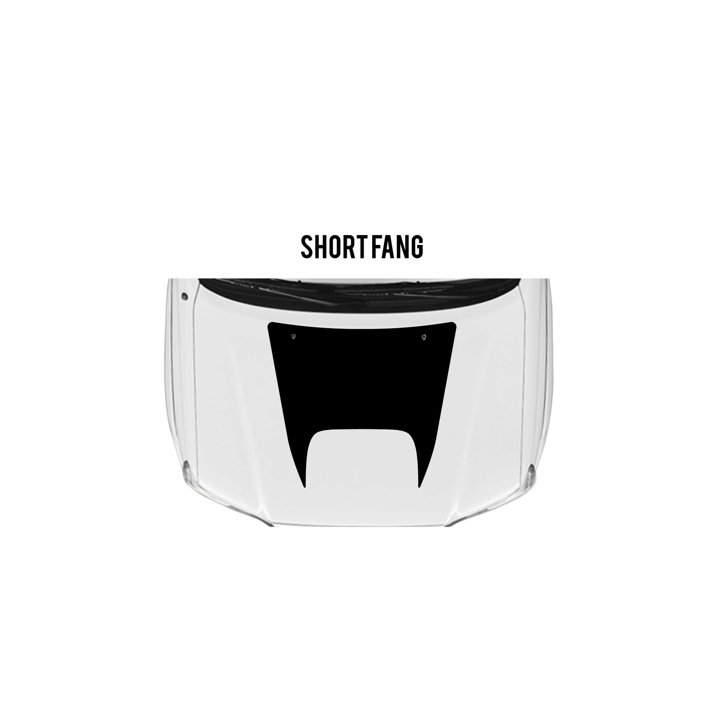 2005-15 Tacoma Checkered Stripe Kit